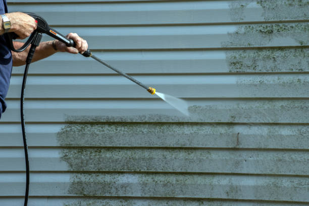 Best Commercial Building Pressure Washing  in Walnut Ridge, AR