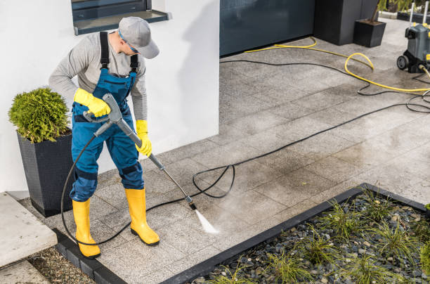 Best Roof Pressure Washing  in Walnut Ridge, AR